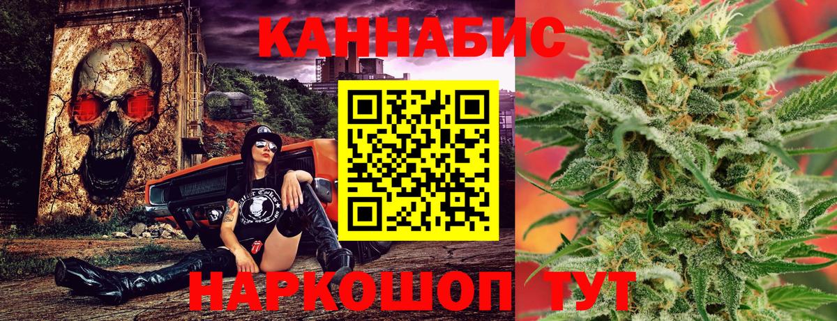 Канабис планчик Прохладный